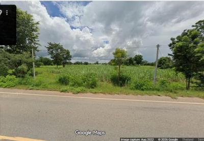 ที่ดิน 3500000 ชัยภูมิ แก้งคร้อ หนองสังข์
