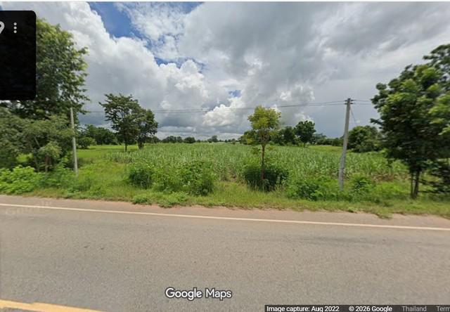 ที่ดิน 3500000 ชัยภูมิ แก้งคร้อ หนองสังข์
