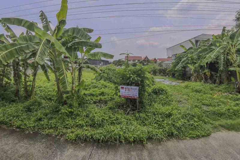 ที่ดิน 1300000 ปทุมธานี ลำลูกกา คูคต