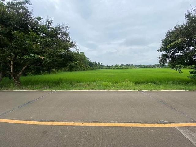 ที่ดิน 6500 เชียงใหม่  