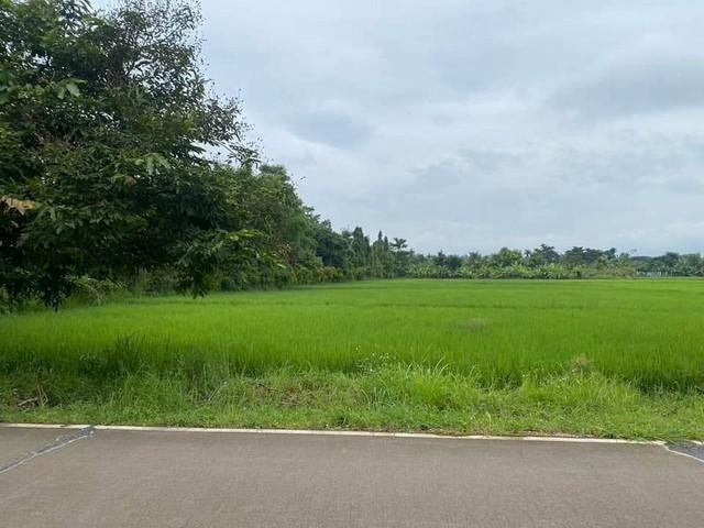 ที่ดิน 6500 เชียงใหม่  