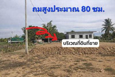 ที่ดิน 1600000 นครปฐม เมืองนครปฐม สามควายเผือก
