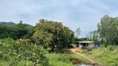 ที่ดิน 1 ประจวบคีรีขันธ์ หัวหิน หัวหิน