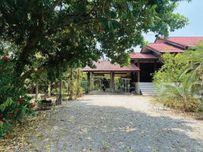 บ้านเดี่ยว 4900000 ลำพูน ป่าซาง ม่วงน้อย