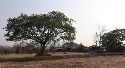 ที่ดิน 3500000 เชียงใหม่ หางดง บ้านแหวน