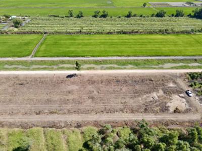 ที่ดิน 790000 ปทุมธานี หนองเสือ บึงชำอ้อ