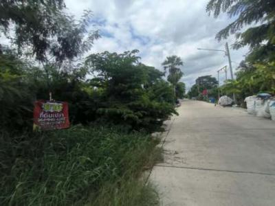 ที่ดิน 680000 ปทุมธานี ลำลูกกา บึงทองหลาง