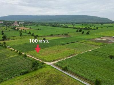 ที่ดิน 100000 ลพบุรี โคกสำโรง วังเพลิง