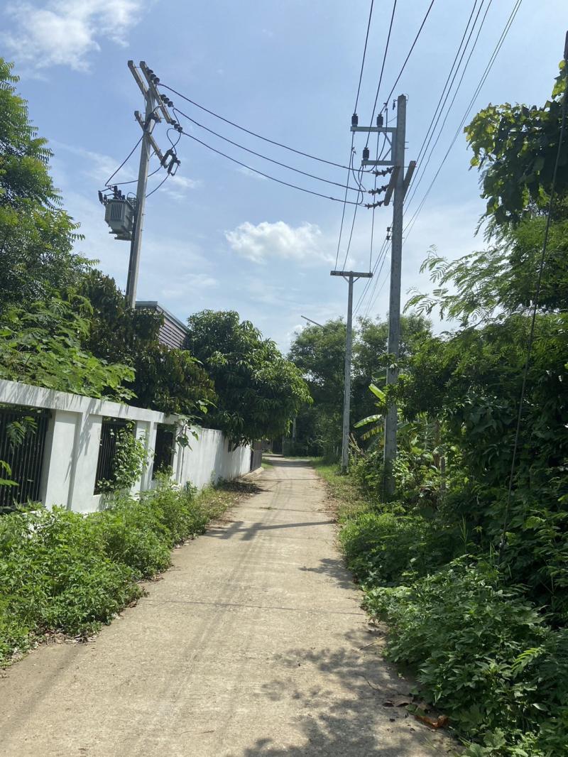 ที่ดิน 1500000 เชียงใหม่ สันกำแพง ร้องวัวแดง