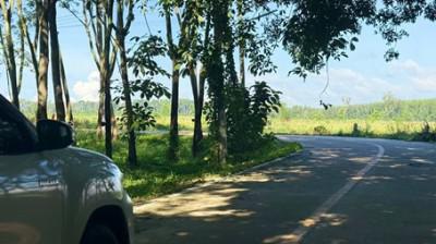 ที่ดิน 10000 ชลบุรี หนองใหญ่ เขาซก
