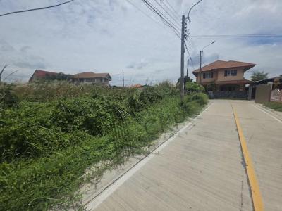 ที่ดิน 30000 นนทบุรี บางบัวทอง บางรักใหญ่