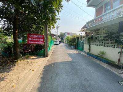 ที่ดิน 6380000 นนทบุรี เมืองนนทบุรี บางเขน